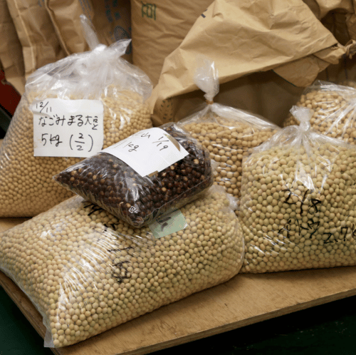 納豆に使われる大豆