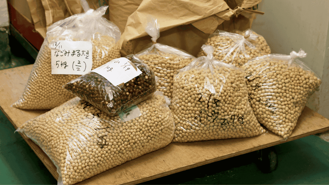 納豆に使われる多種多様な大豆